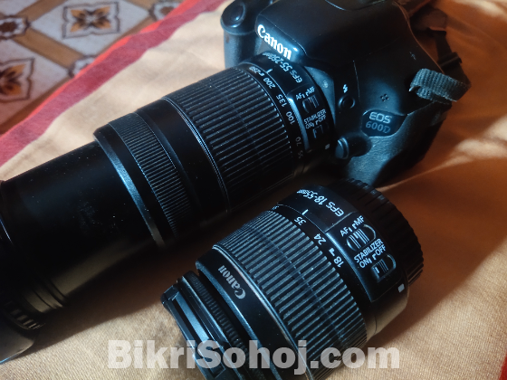 Canon 600D with kit lens,55-250 Zoom lens